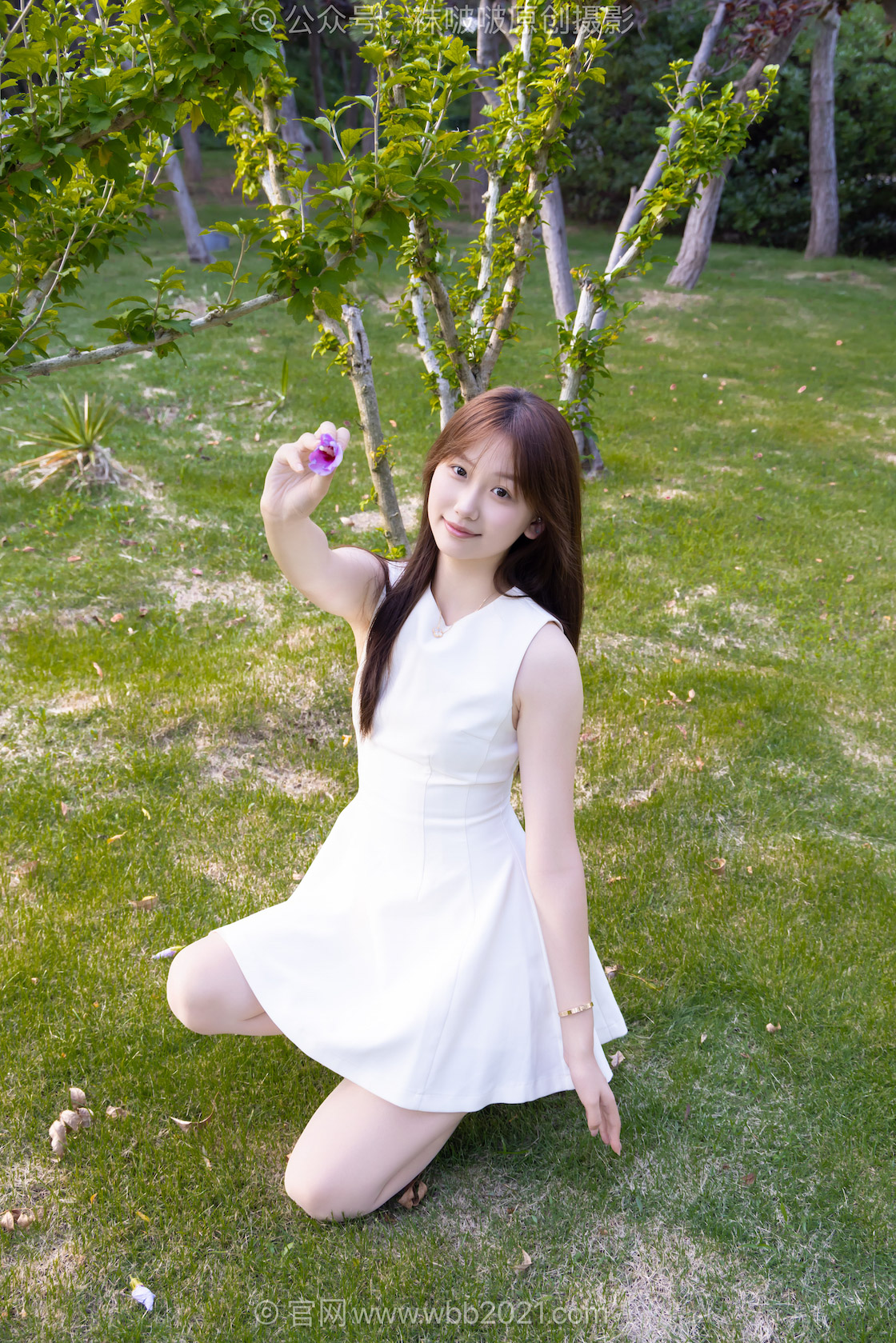 图片[4]-袜啵啵608期 香菜