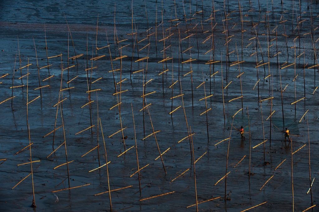 图片[8]-彭安作品-觅颜社