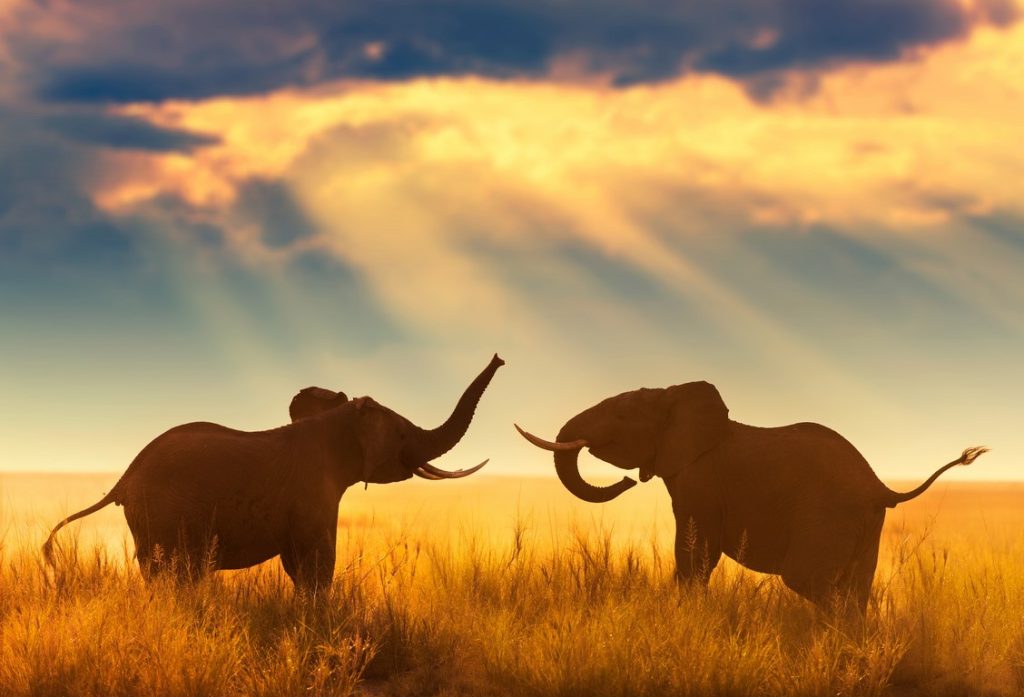 图片[3]-郑承建作品-觅颜社