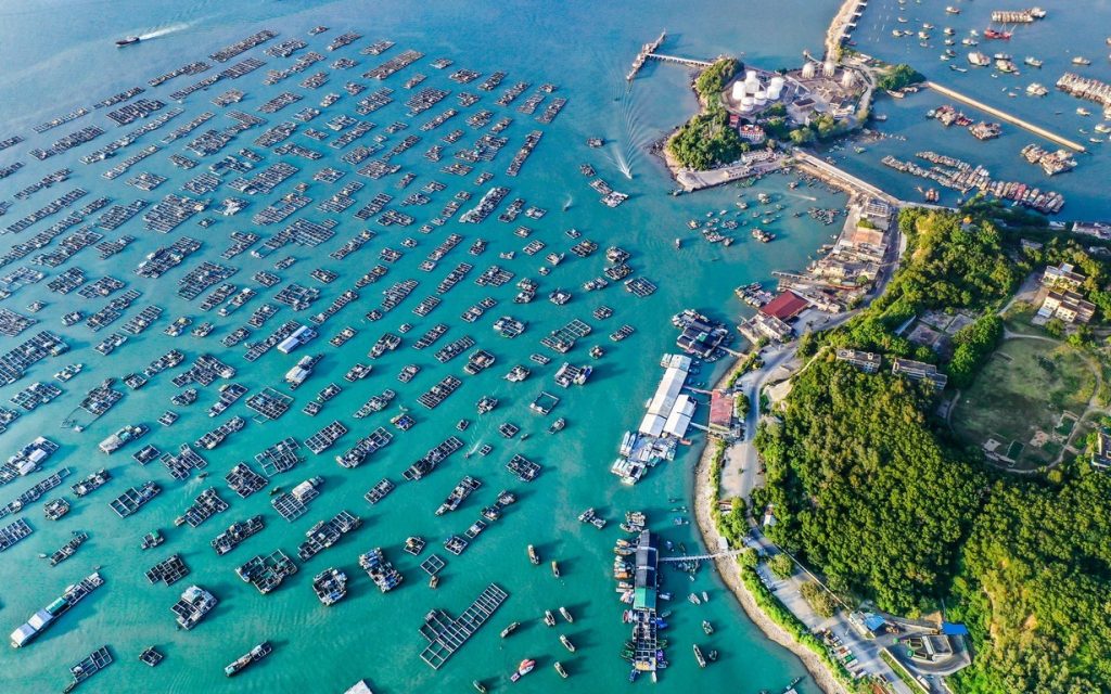 图片[6]-谭国球作品-觅颜社