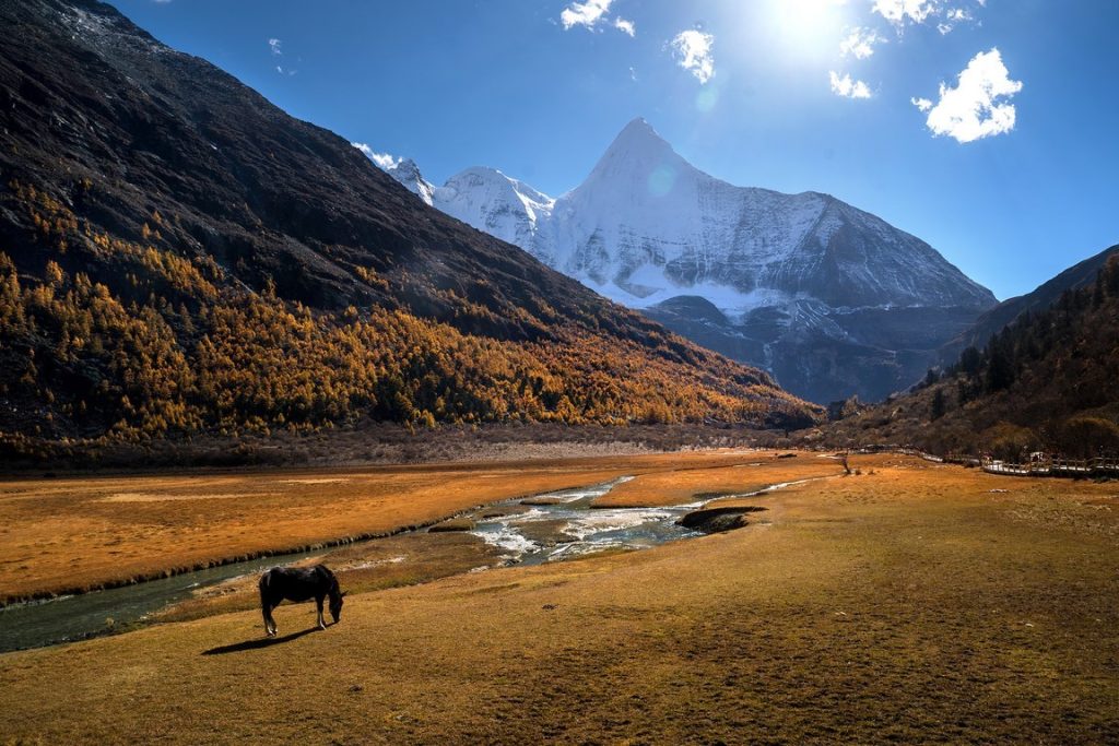 图片[4]-张金敏作品-觅颜社