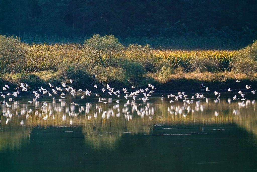 图片[8]-张金敏作品-觅颜社