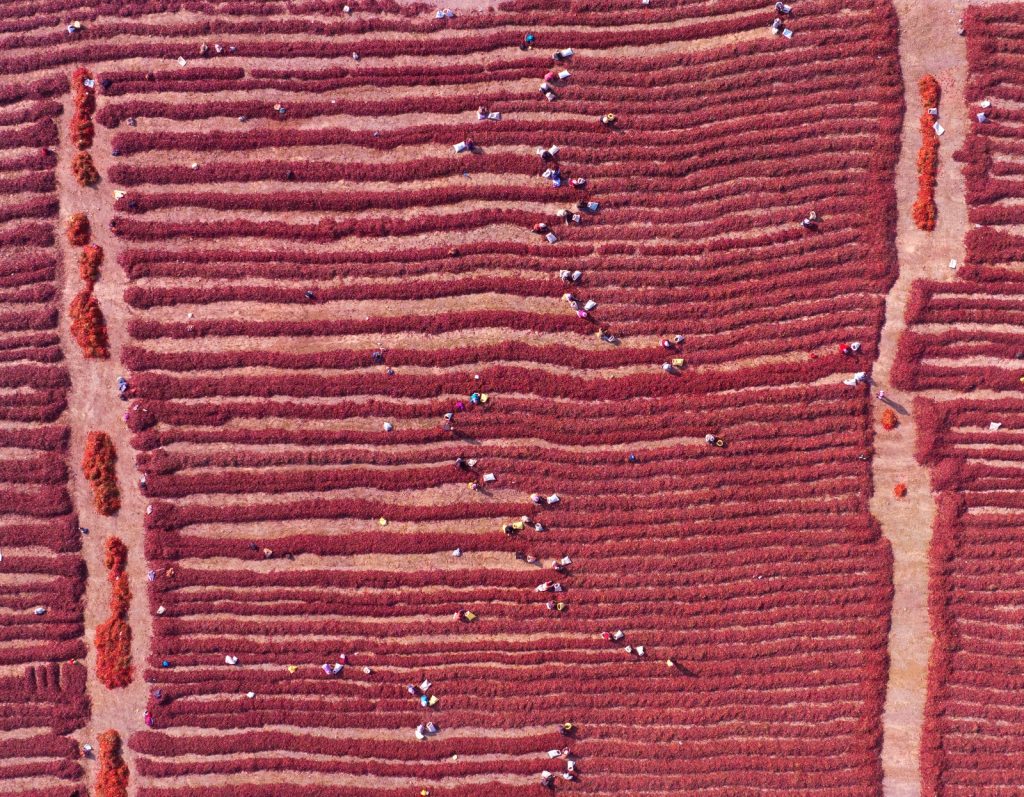 图片[9]-张靖作品-觅颜社