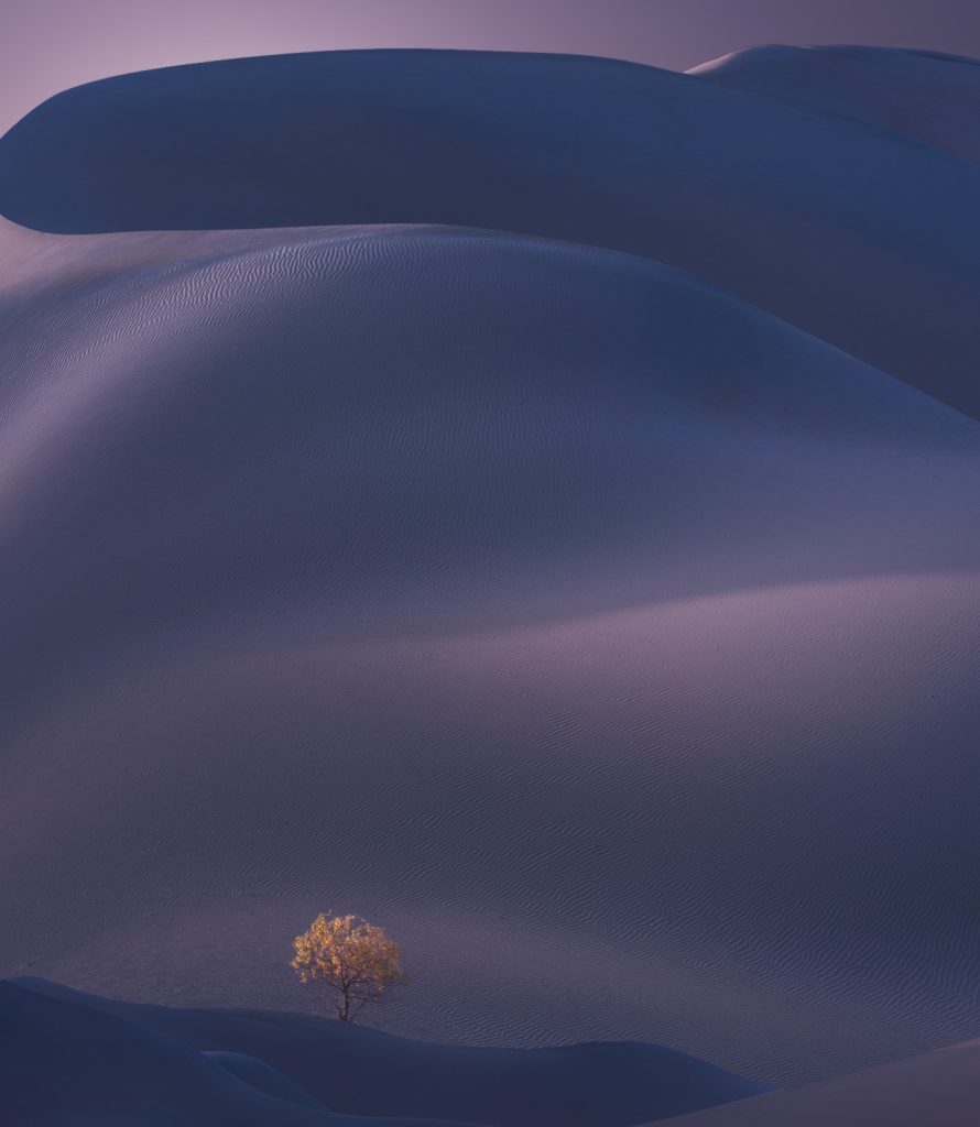 图片[11]-张靖作品-觅颜社