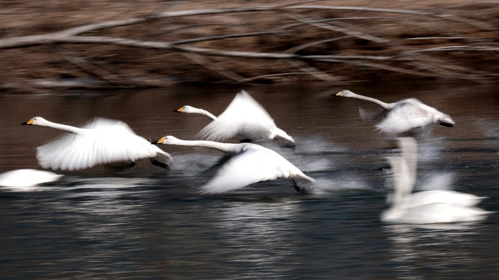 图片[8]-杨娃娃作品-觅颜社
