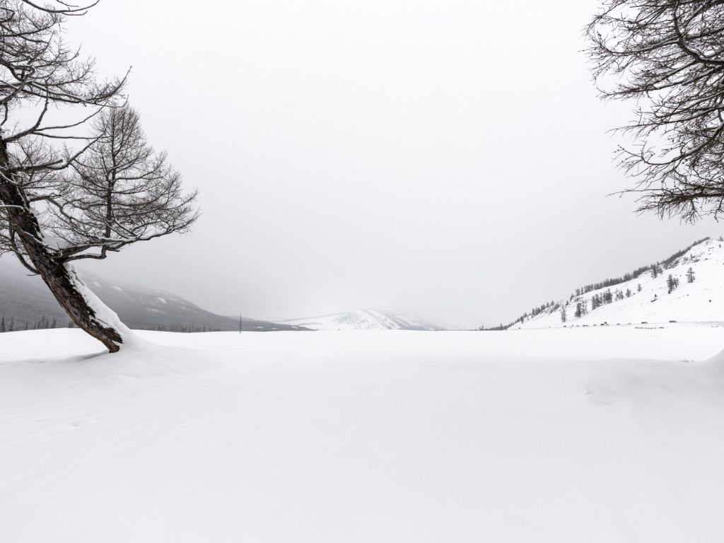 图片[6]-张博作品-觅颜社